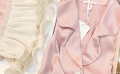 美国ZOOM人狗高清